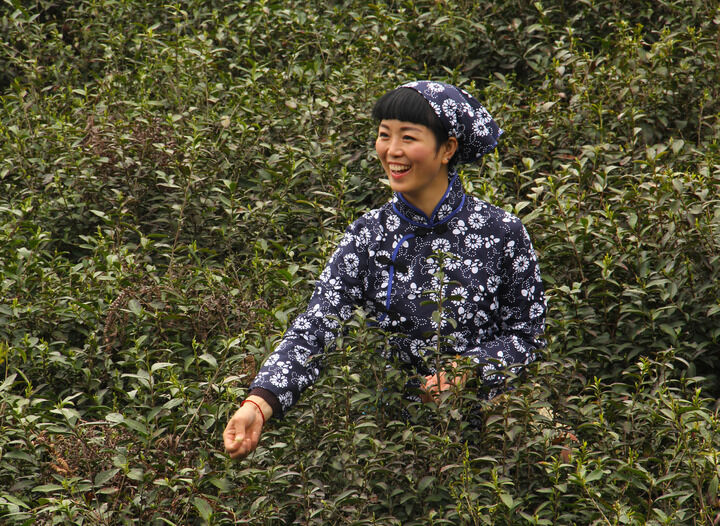 侦探榜首